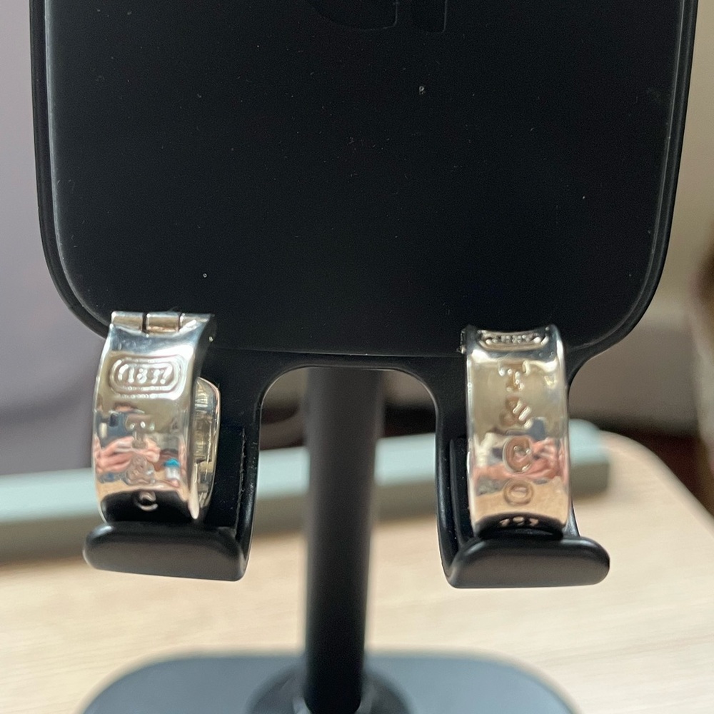 Tiffany & CO earrings